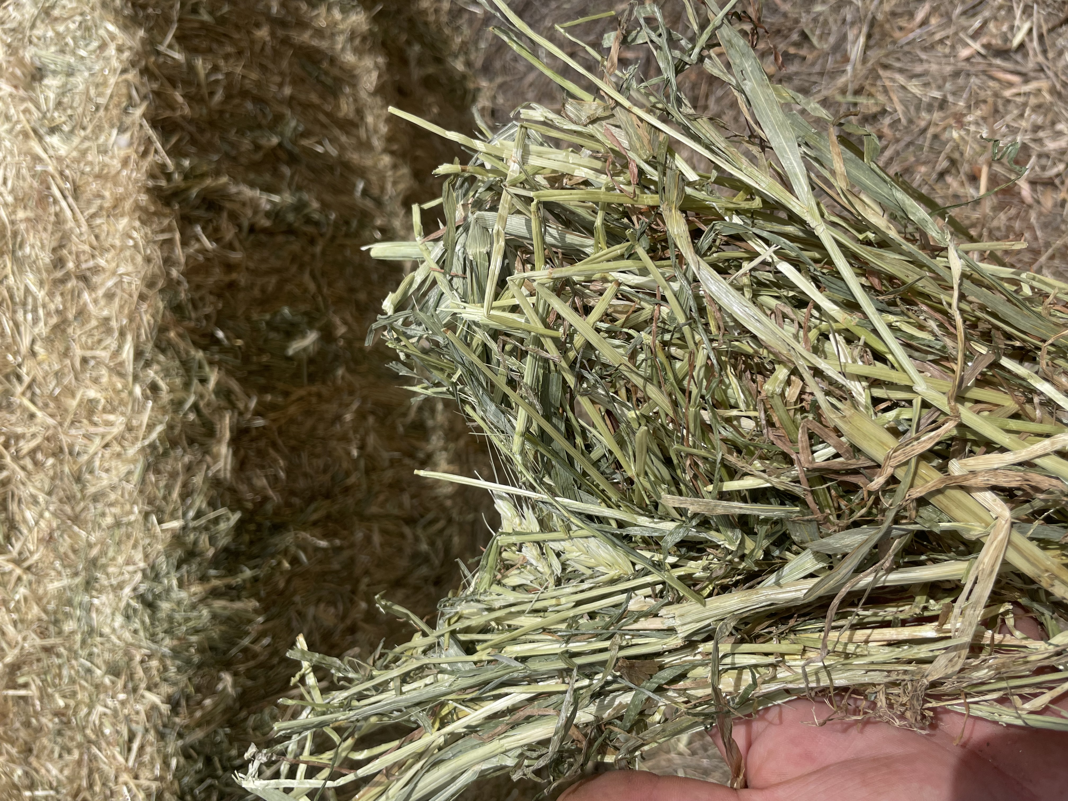 DFA0E6D3 B832 4192 9A49 38227A80A3EF