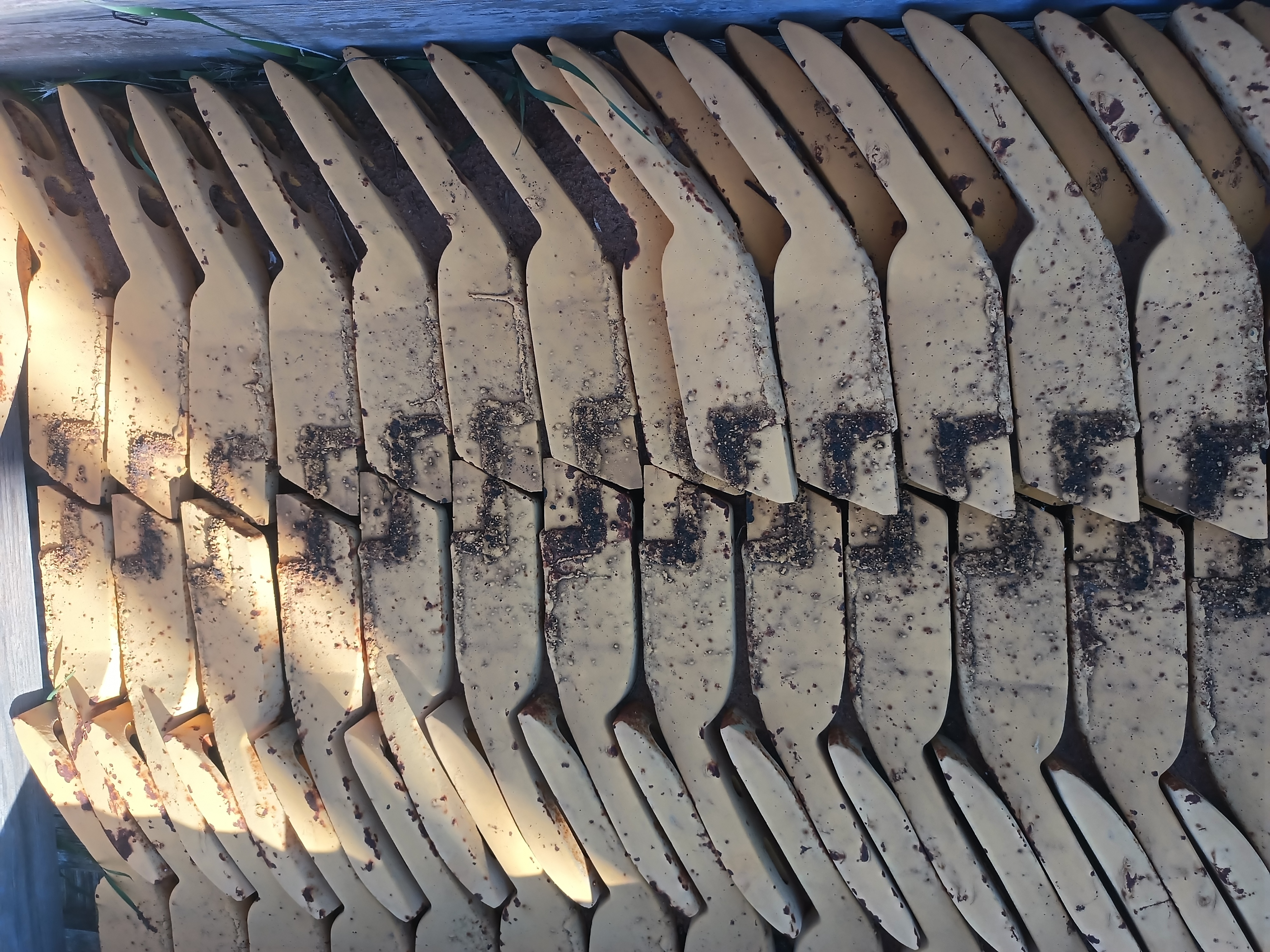 IMG 20260416 090104 637