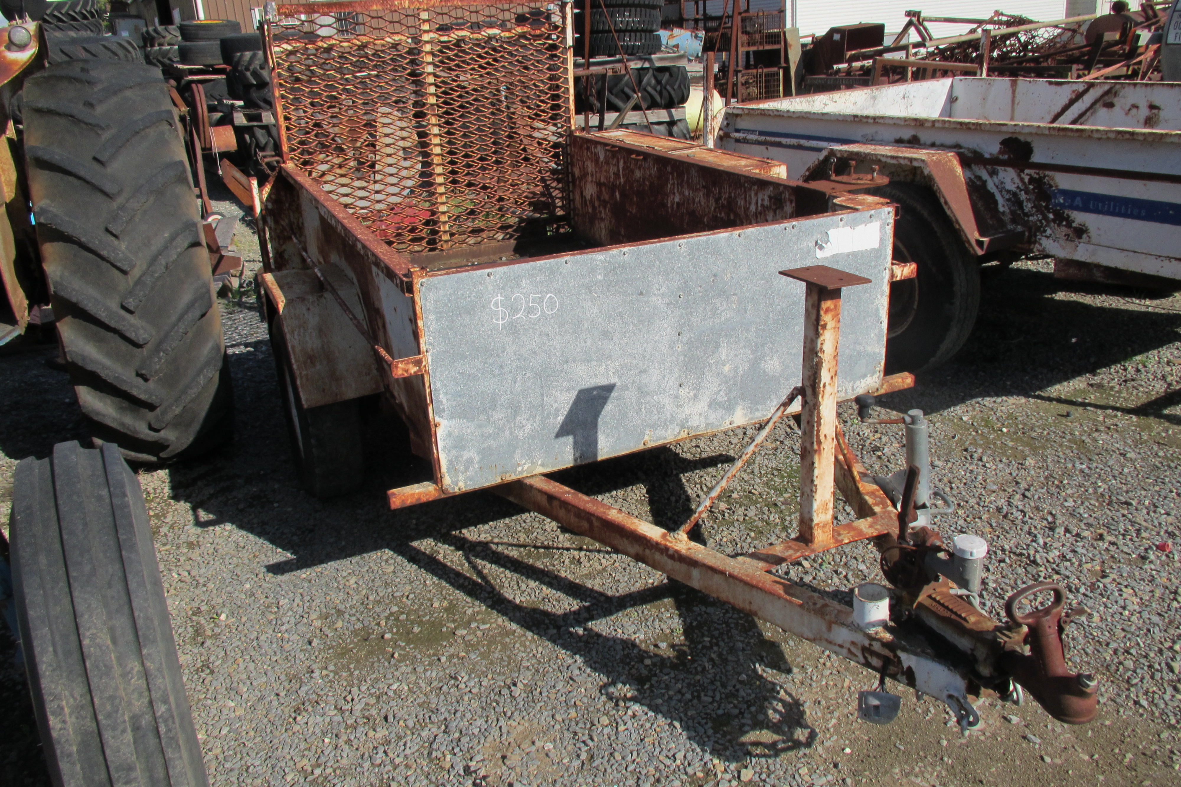 IMG 2565