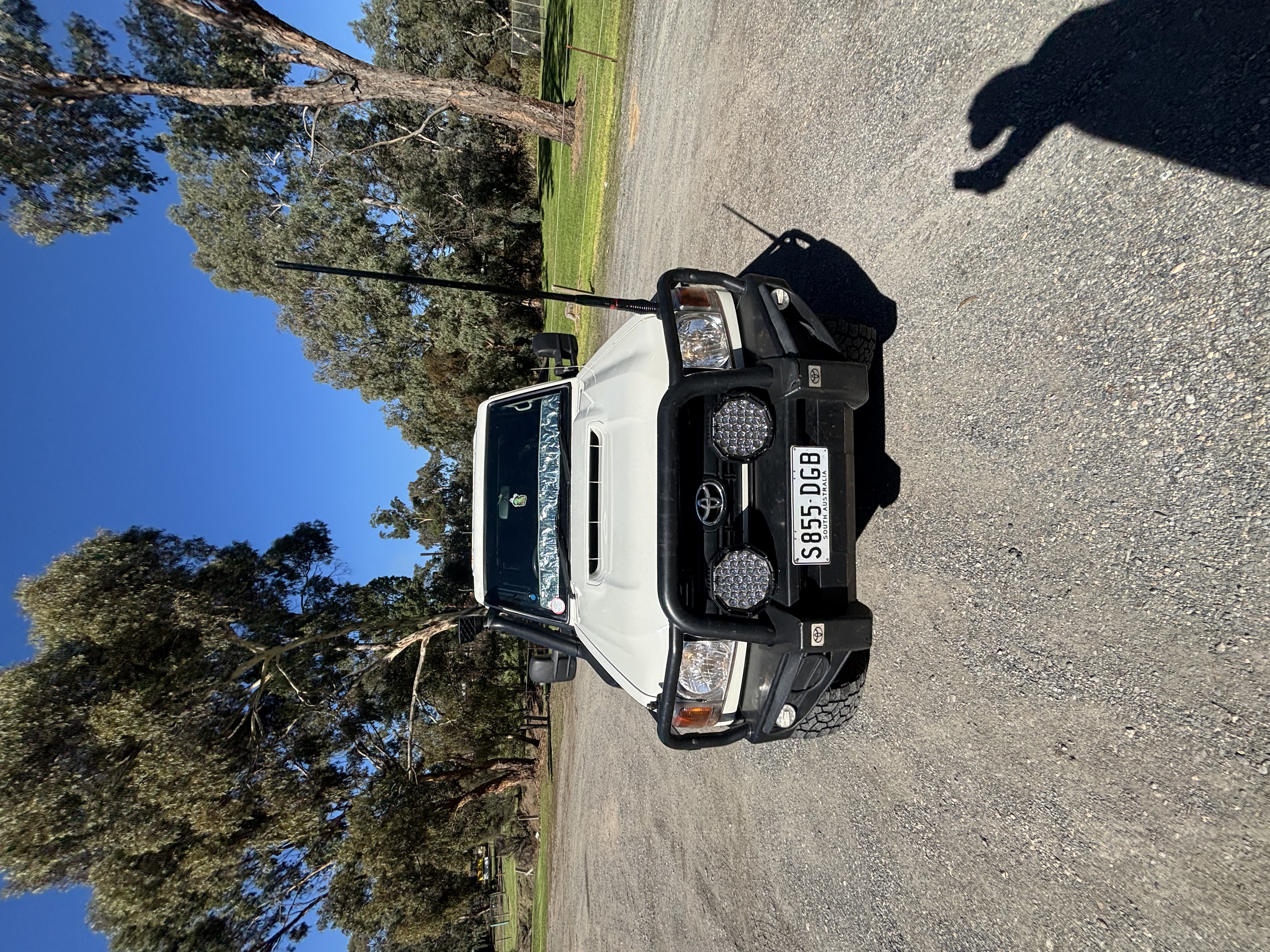 IMG 7394