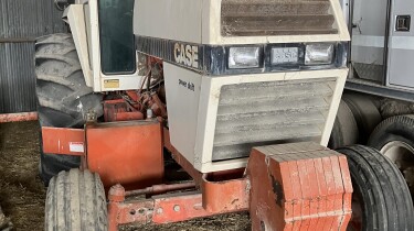 IMG 3767