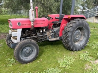 Massey1