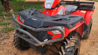 Quad 1