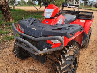 Quad 1