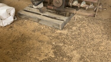 IMG 3737