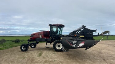 IMG 0884