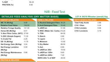 Feedtest