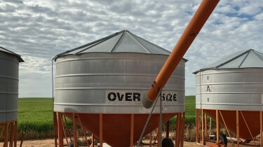 IMG 0927