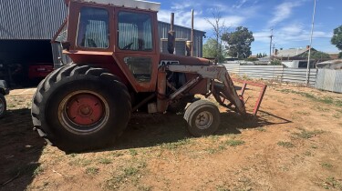 IMG 0010