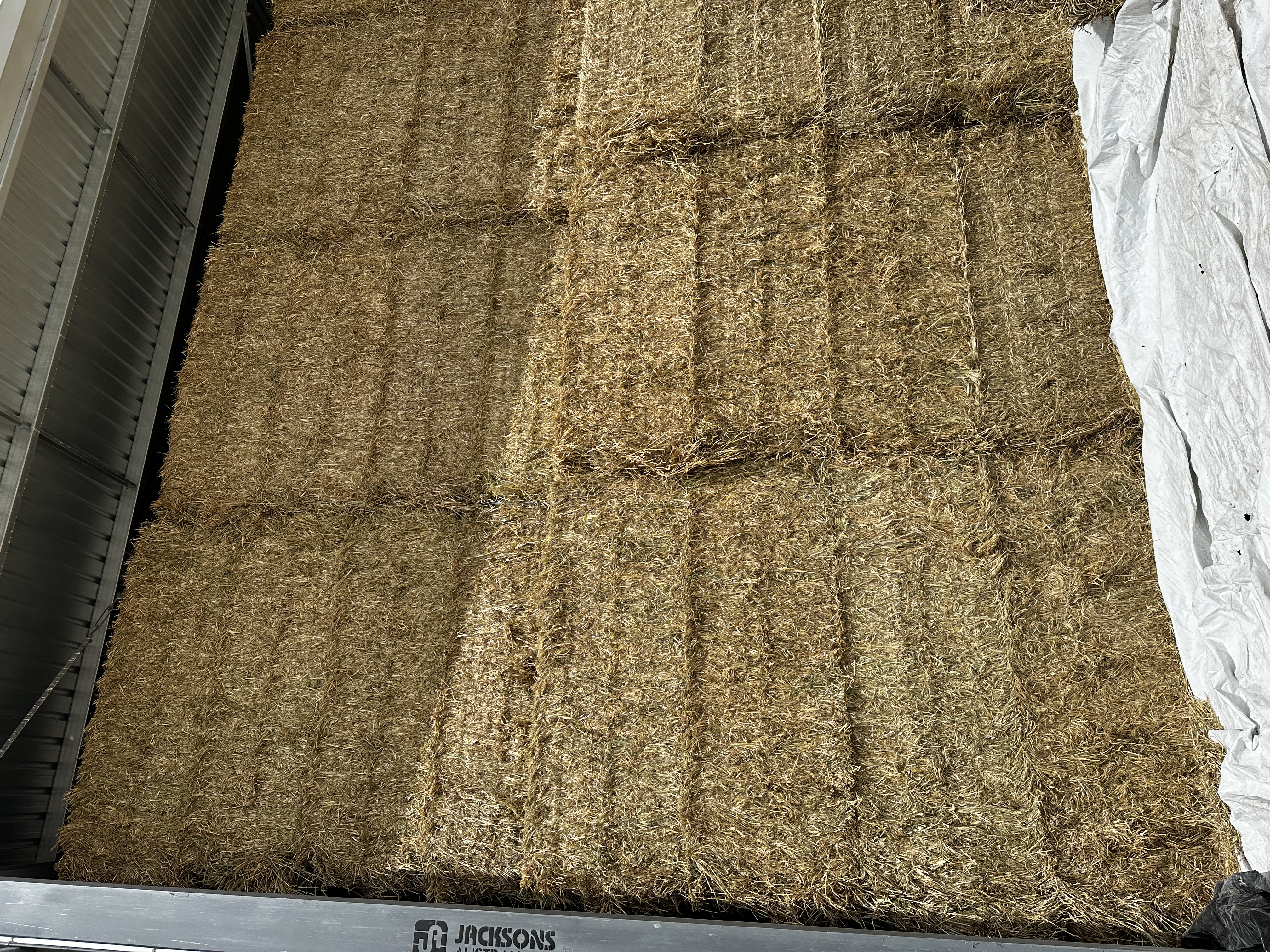 IMG 6457