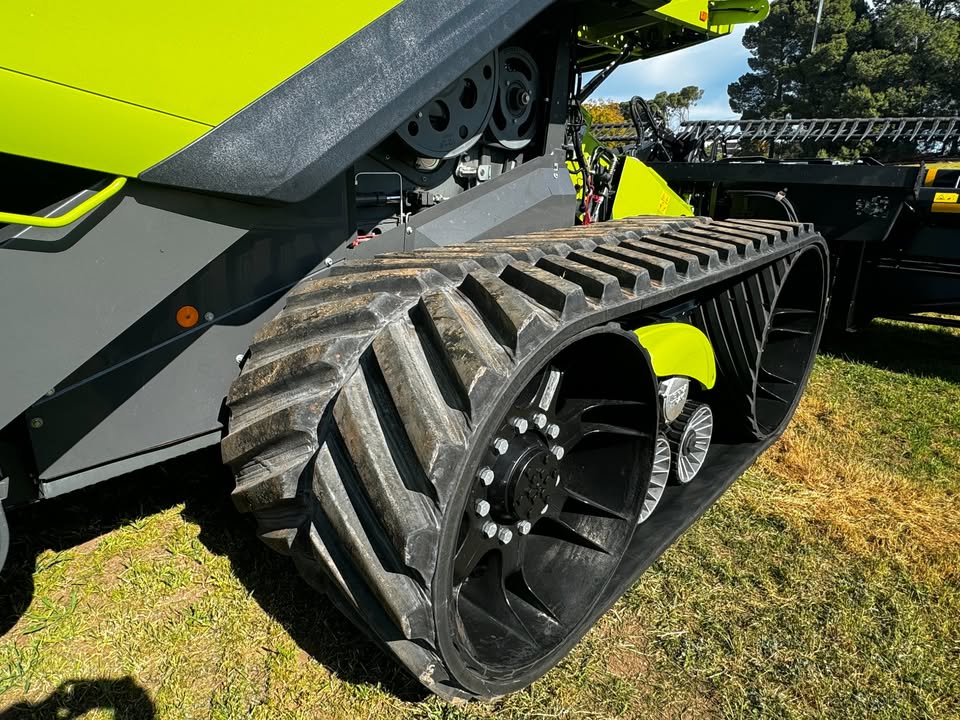 548790605 1453738929221553 3357976749078629172 n