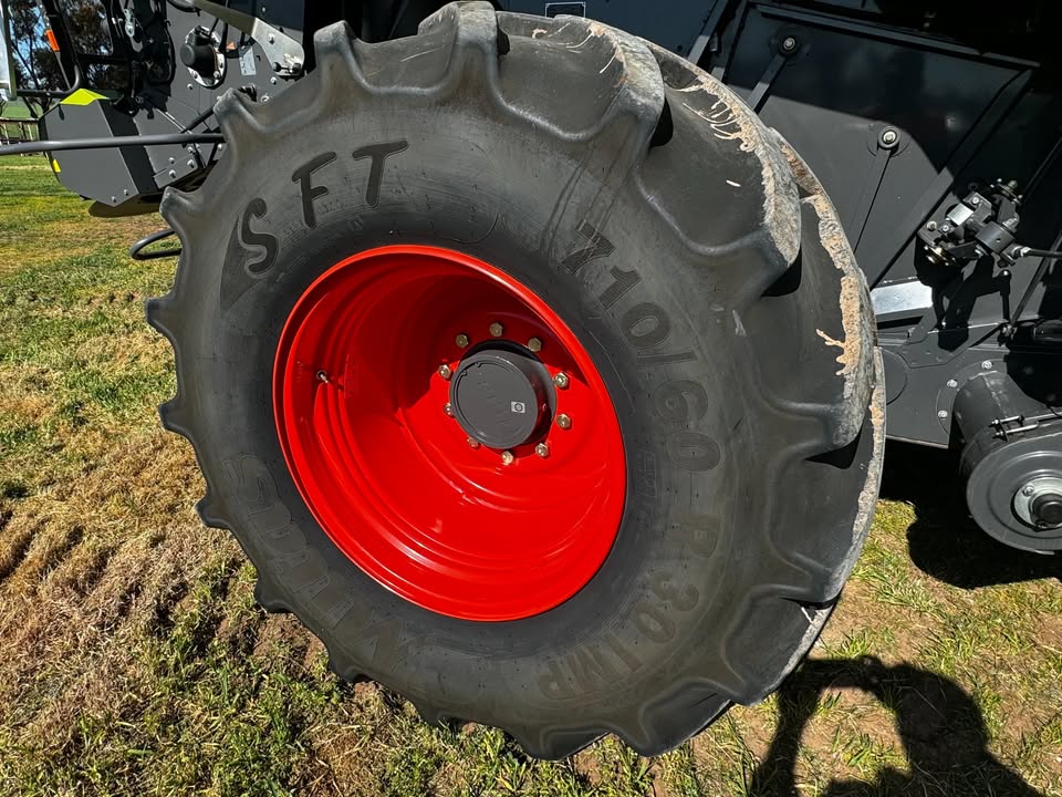 548802566 3565497720259611 2066792503566259553 n