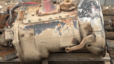 IMG 3723