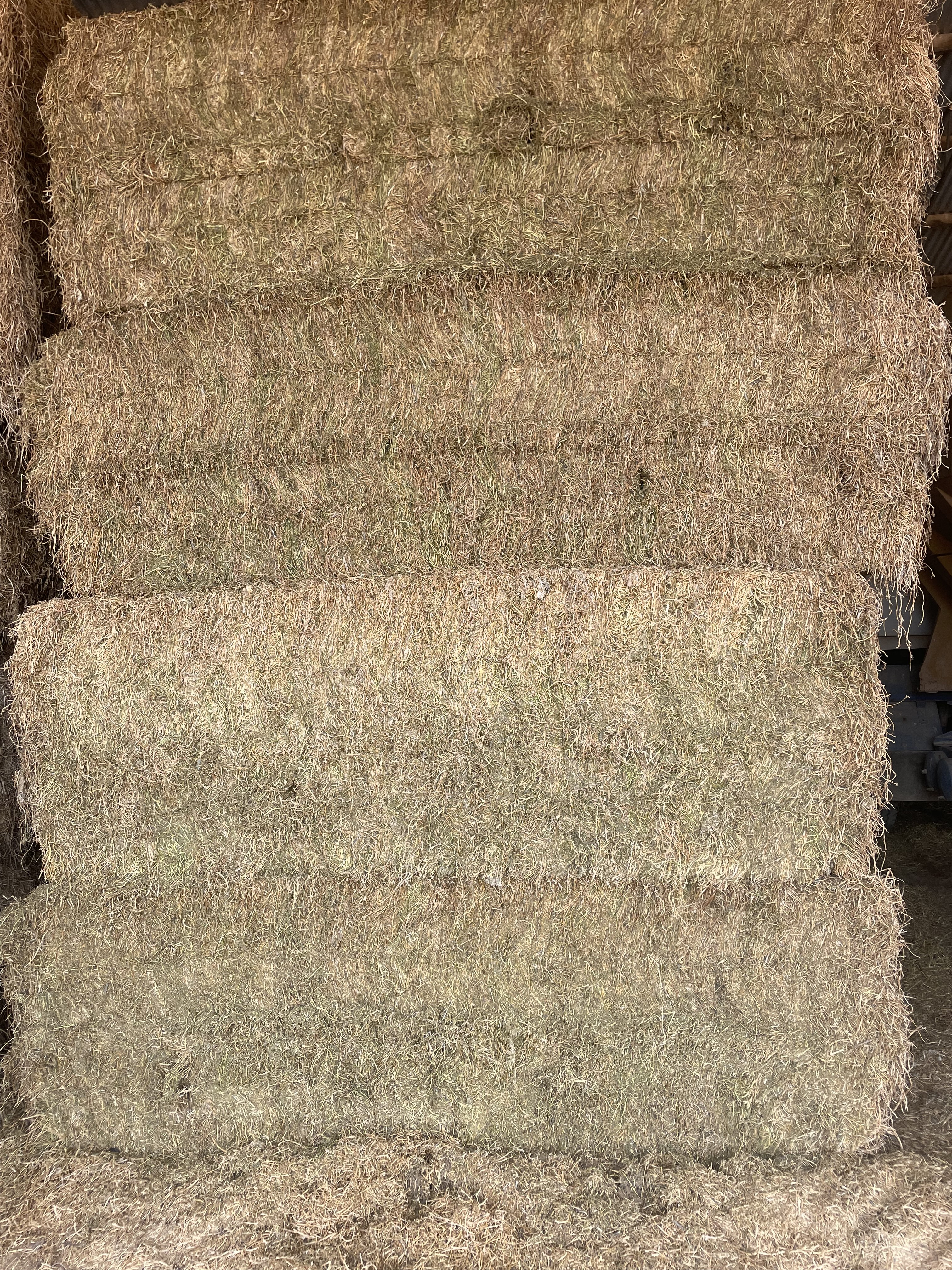 HAY