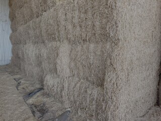 IMG 2201