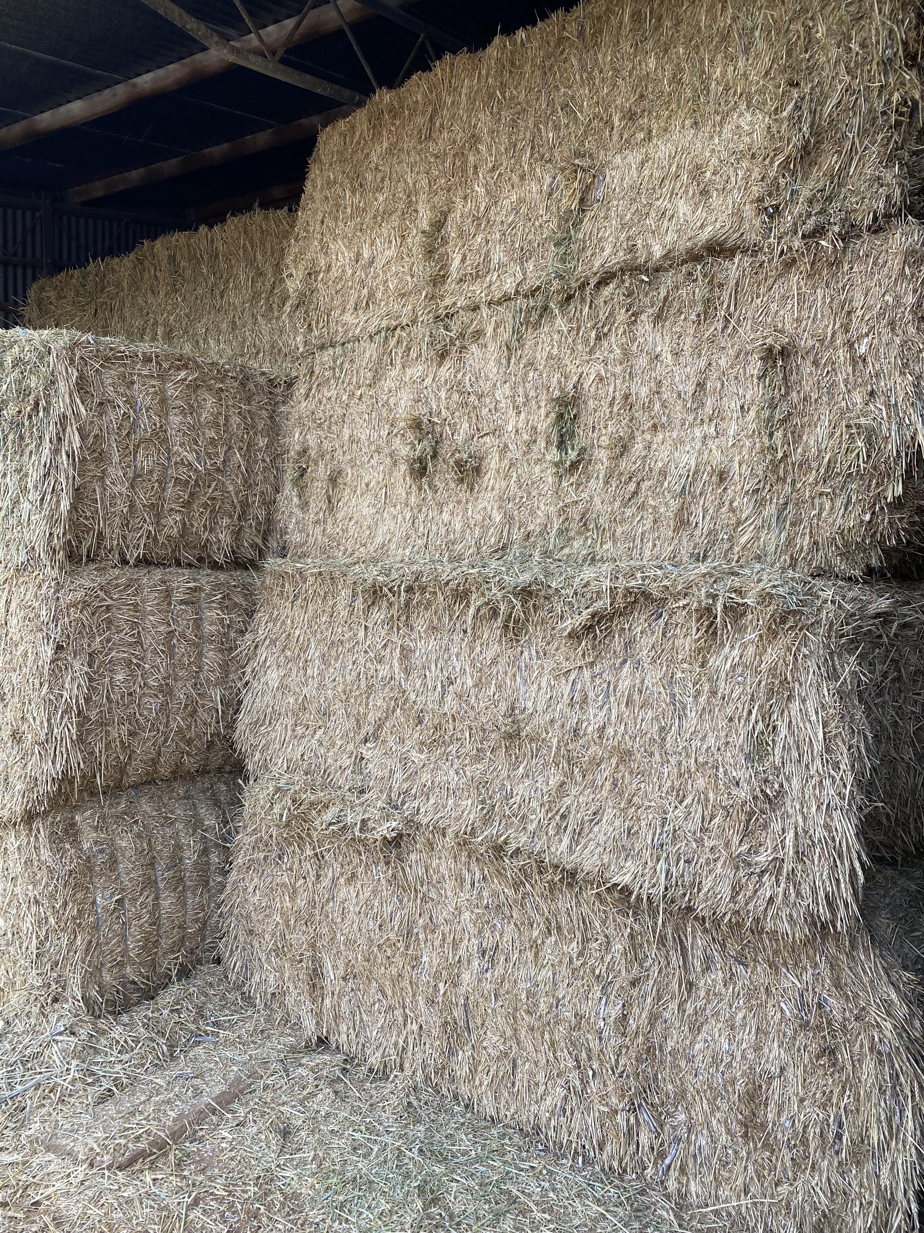 Hay