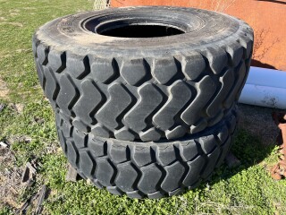 IMG 0819