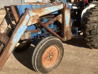IMG 3111