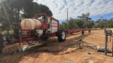 IMG 8110