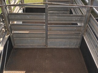 IMG 4544