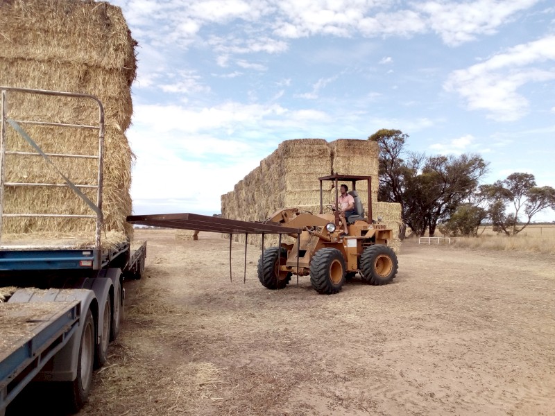 Loader3