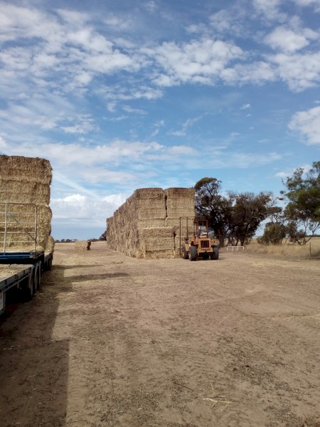 Loader4