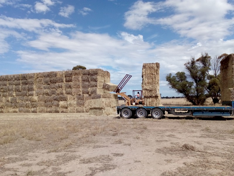 loader5