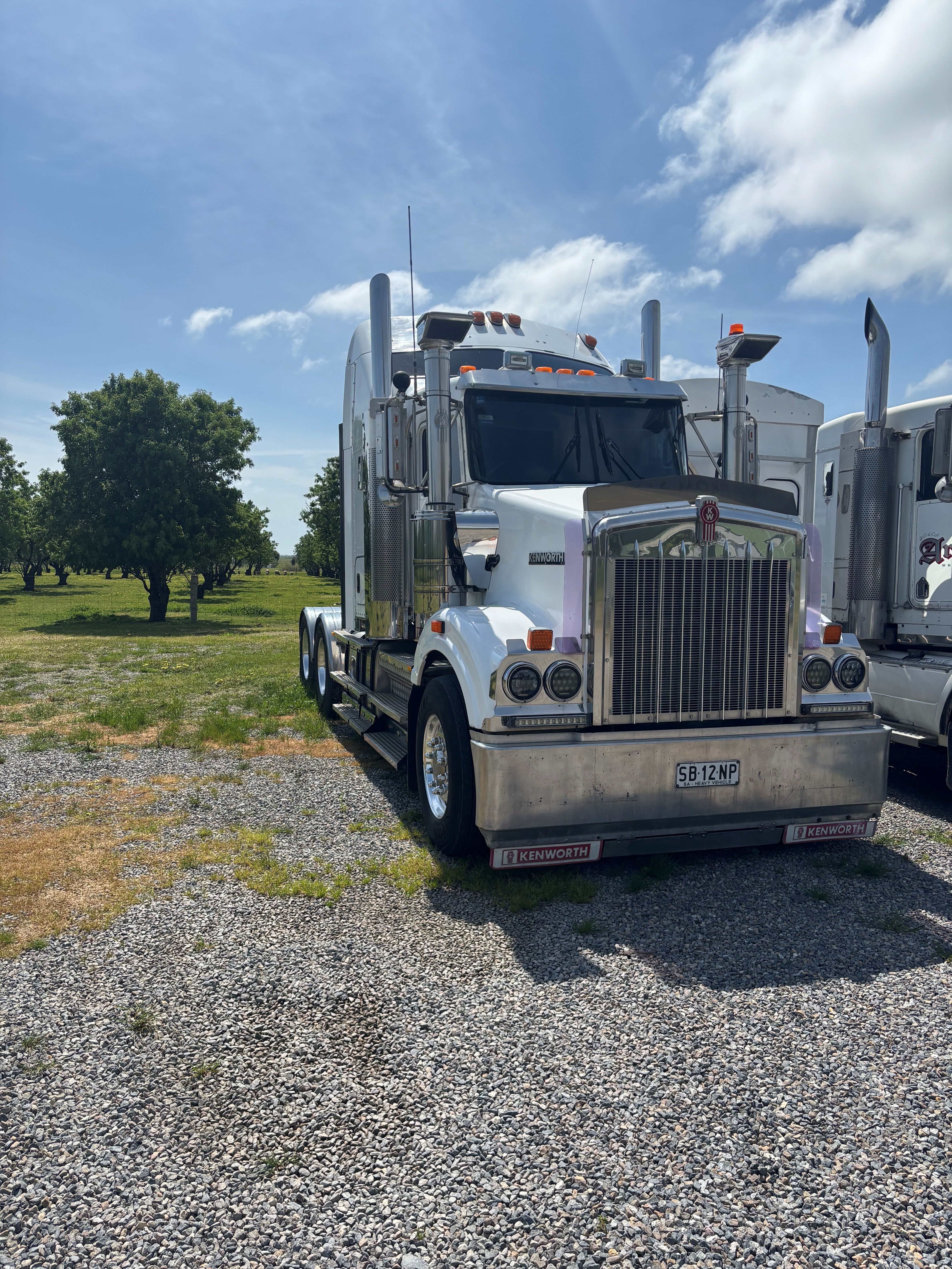 t509