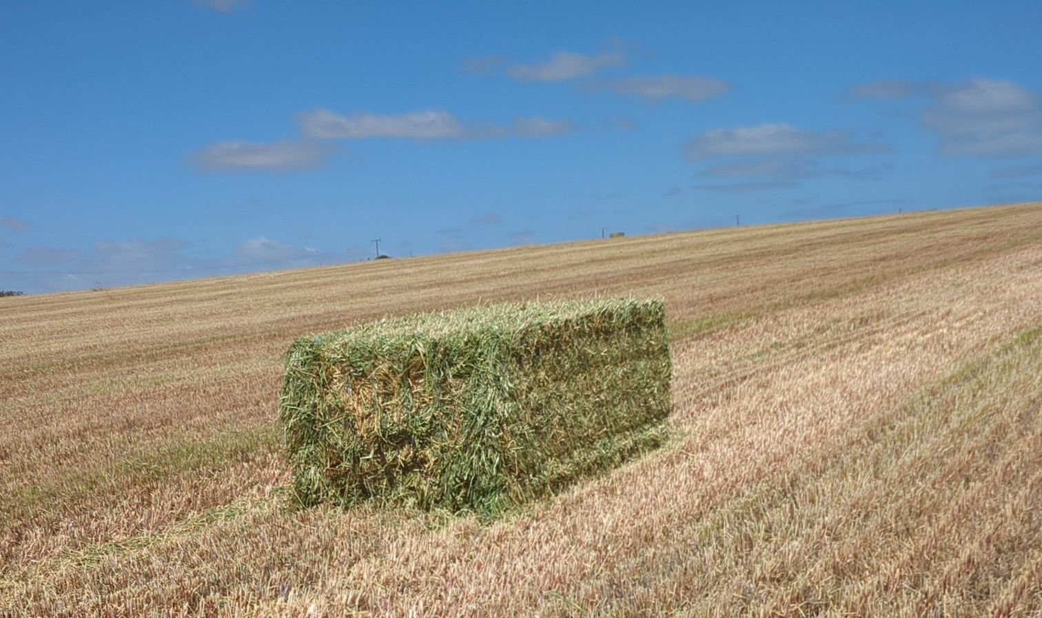 Snapchat 287181711 v2