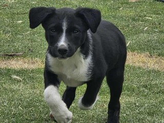 att.IvwRfJnS5Xz1QRi4FWP70GchgNj0qsm2bzESjB Um E