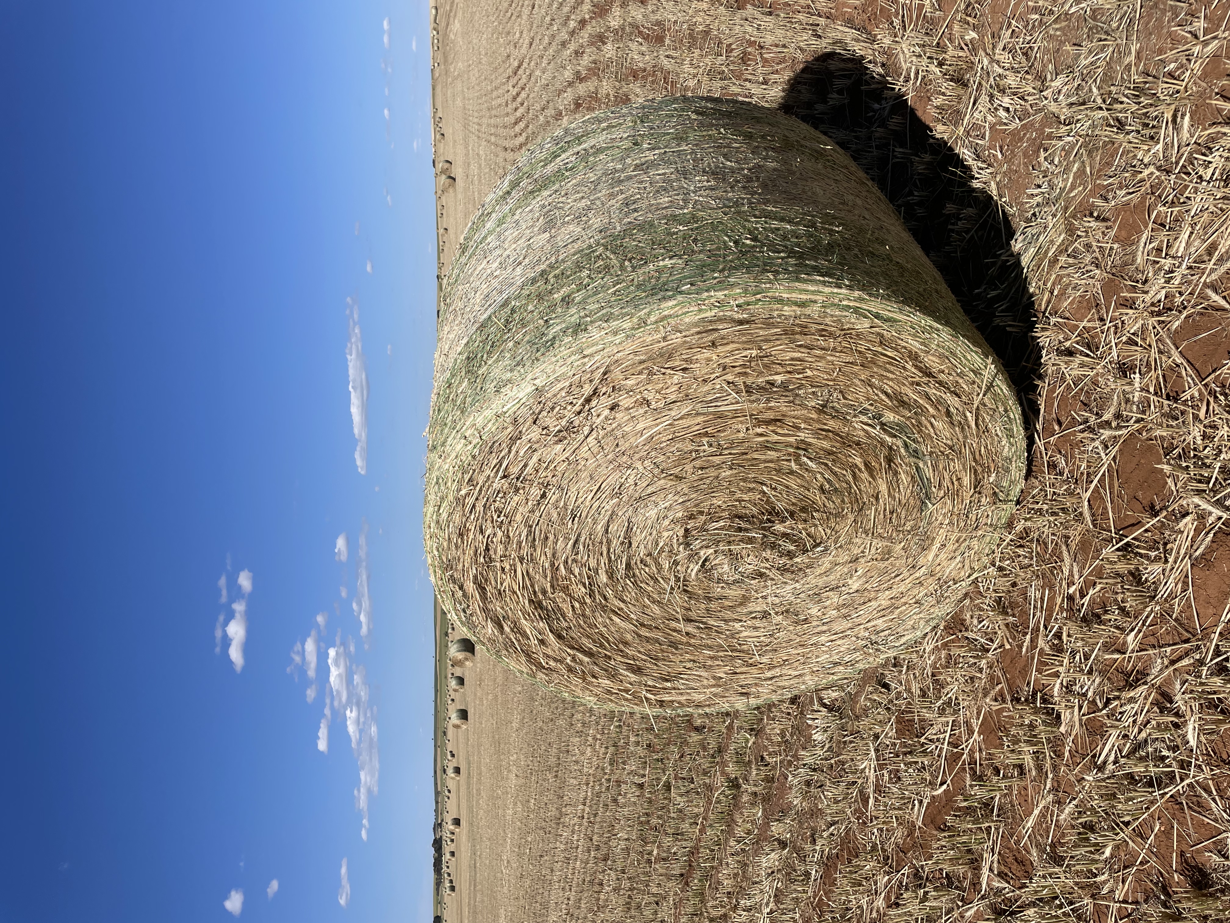 35F463A6 B0CD 4C27 AC98 150AC6A5DB37