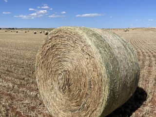 35F463A6 B0CD 4C27 AC98 150AC6A5DB37