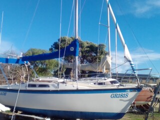 IMG 20210602 144042 HDR