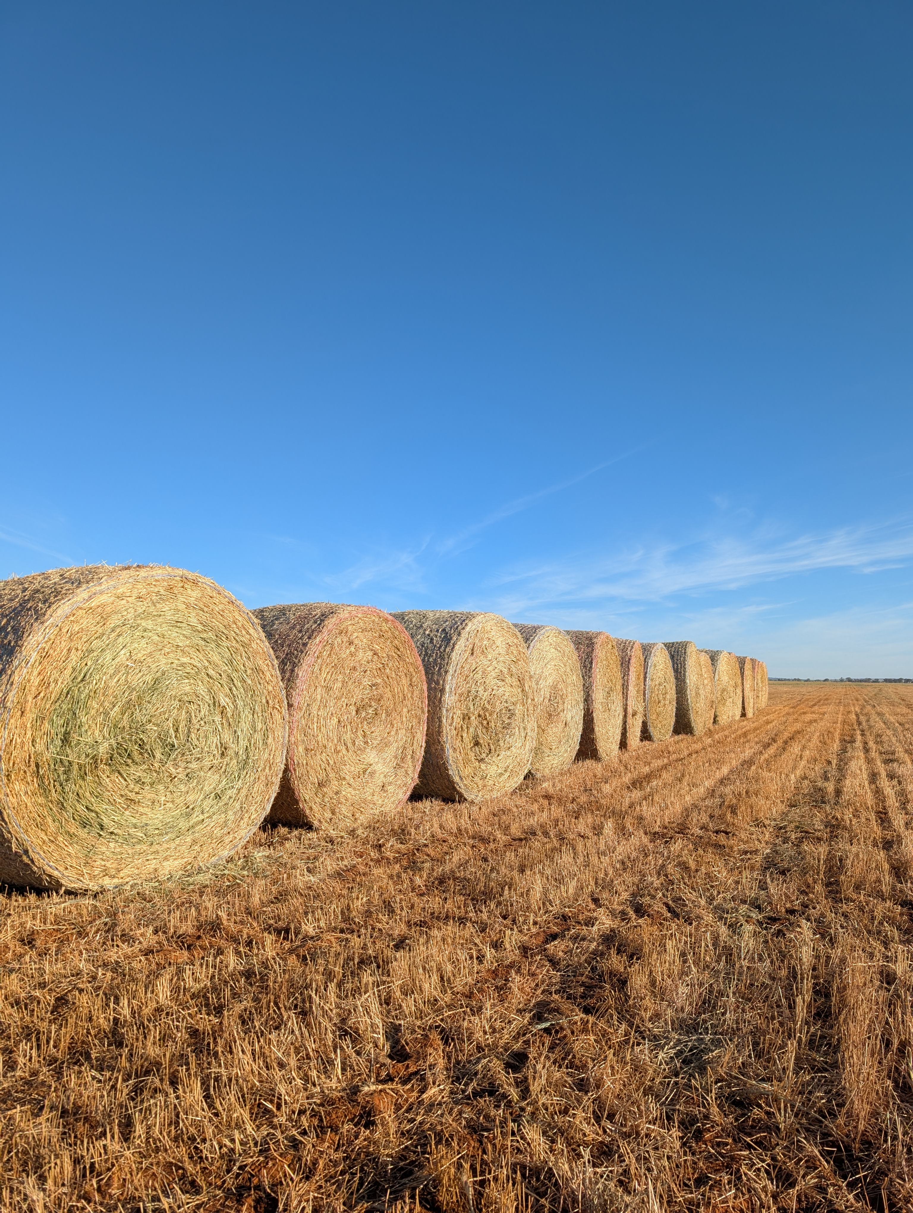 PXL 20251018 075329268