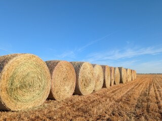 PXL 20251018 075329268