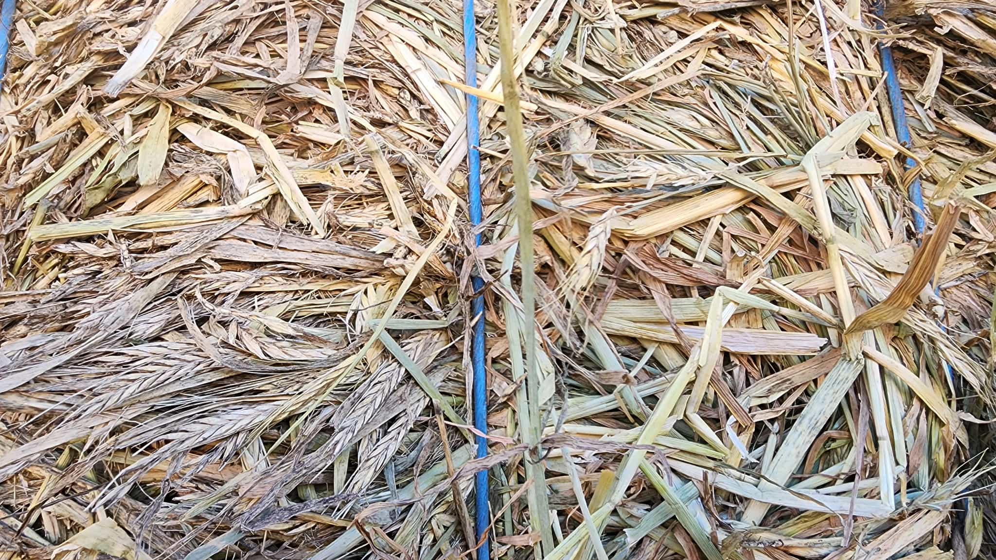 b76136e1 d986 42e6 8482 1365153de22e