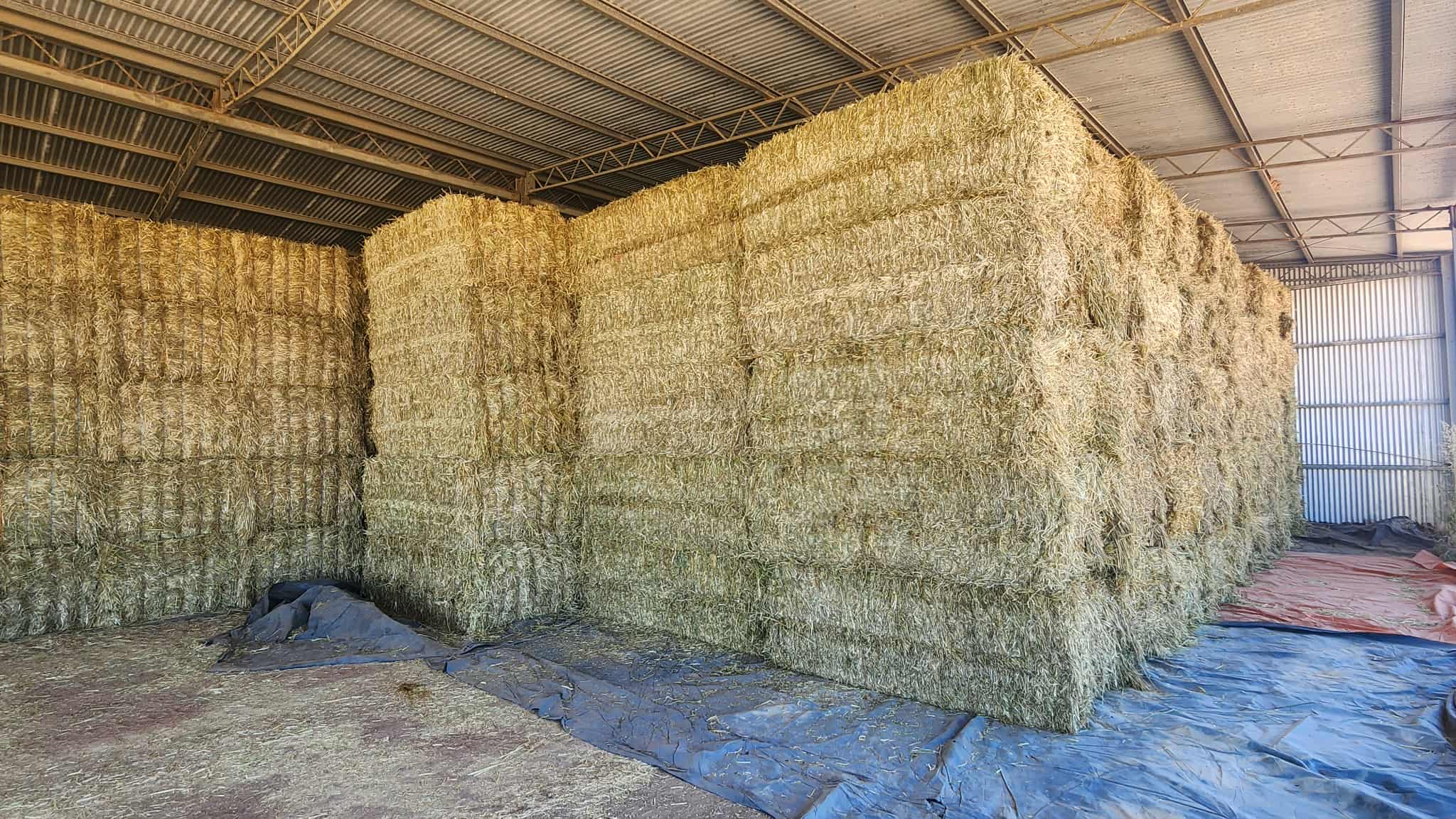 c624965e 737a 4f05 ad70 9096f7d25349