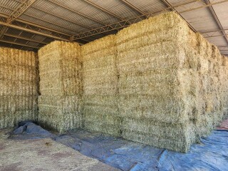 c624965e 737a 4f05 ad70 9096f7d25349