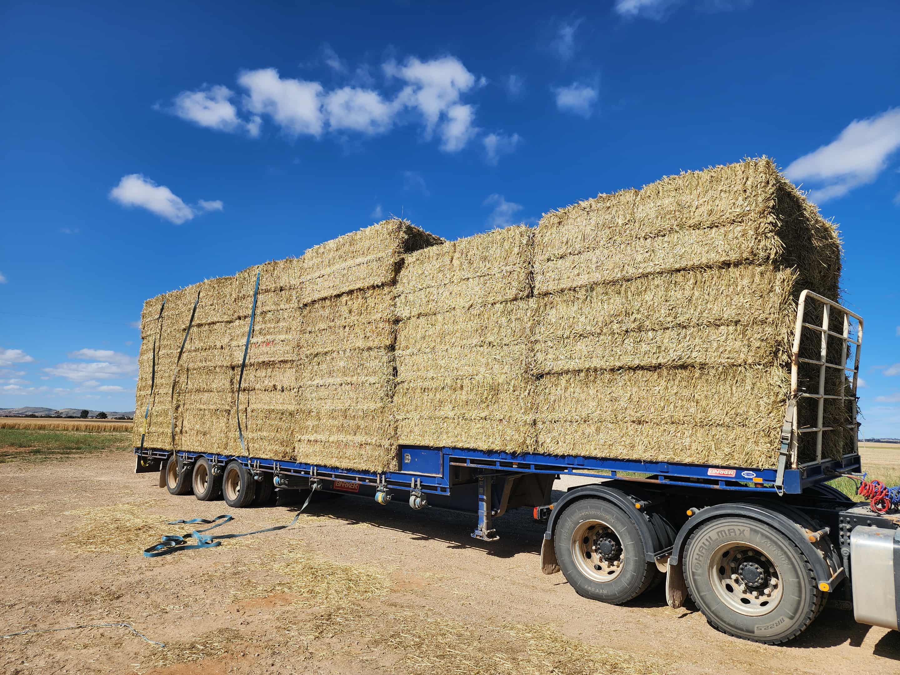 d257327c 7d16 4606 947f 7368a1d6c03a