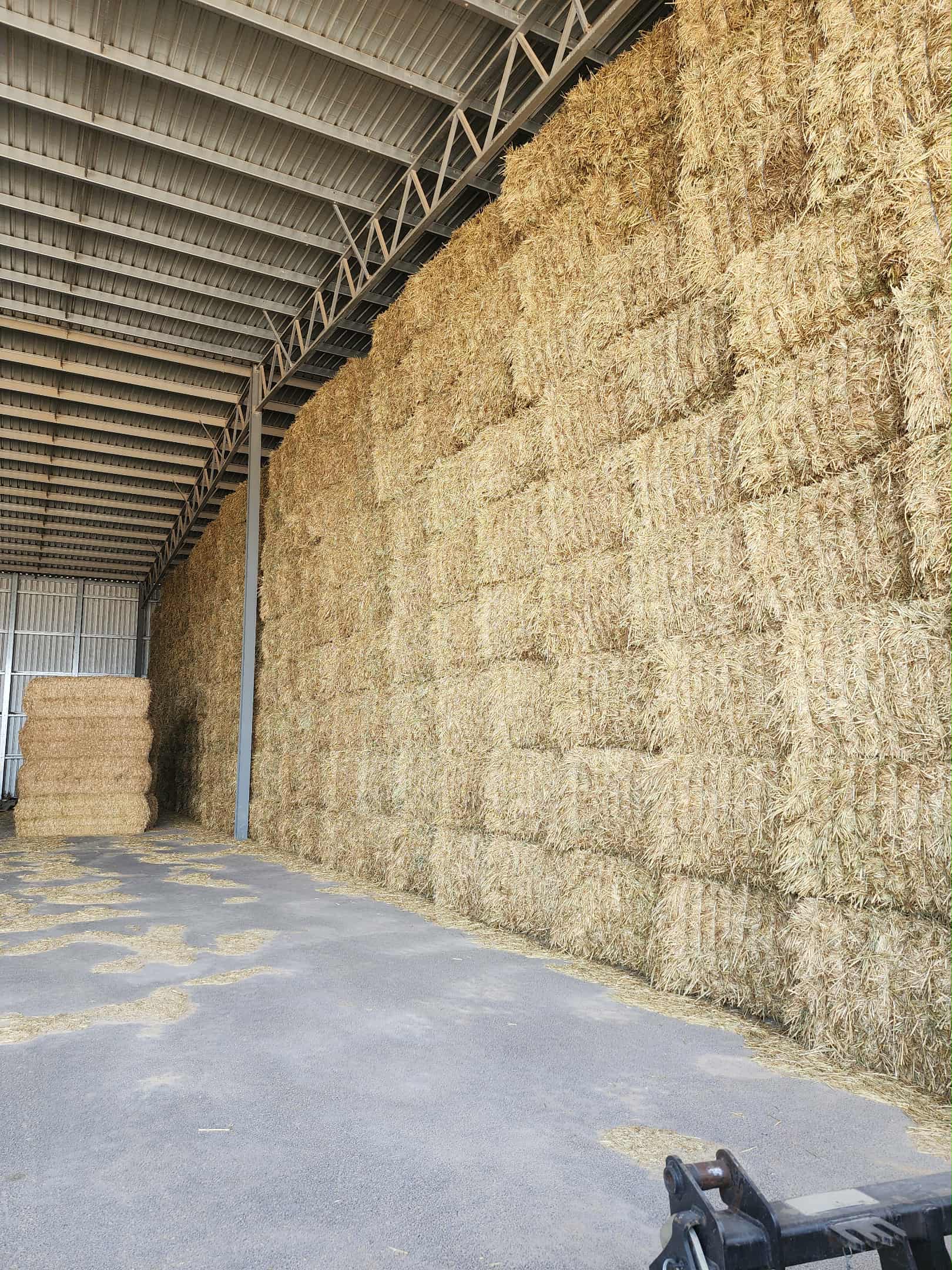 2a6df30f ac4d 4d3f 8e32 9b490e12fd22