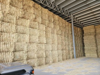 70029b54 4e65 4b89 89fa 6c8b04cc465a