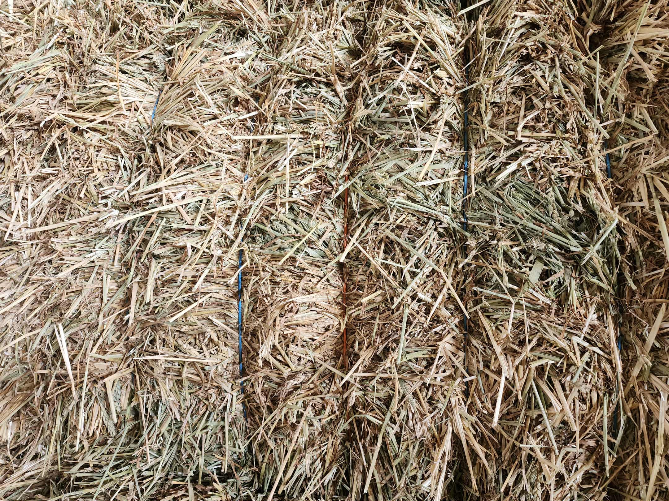 9bb1016d 253e 454d b849 896babf38126