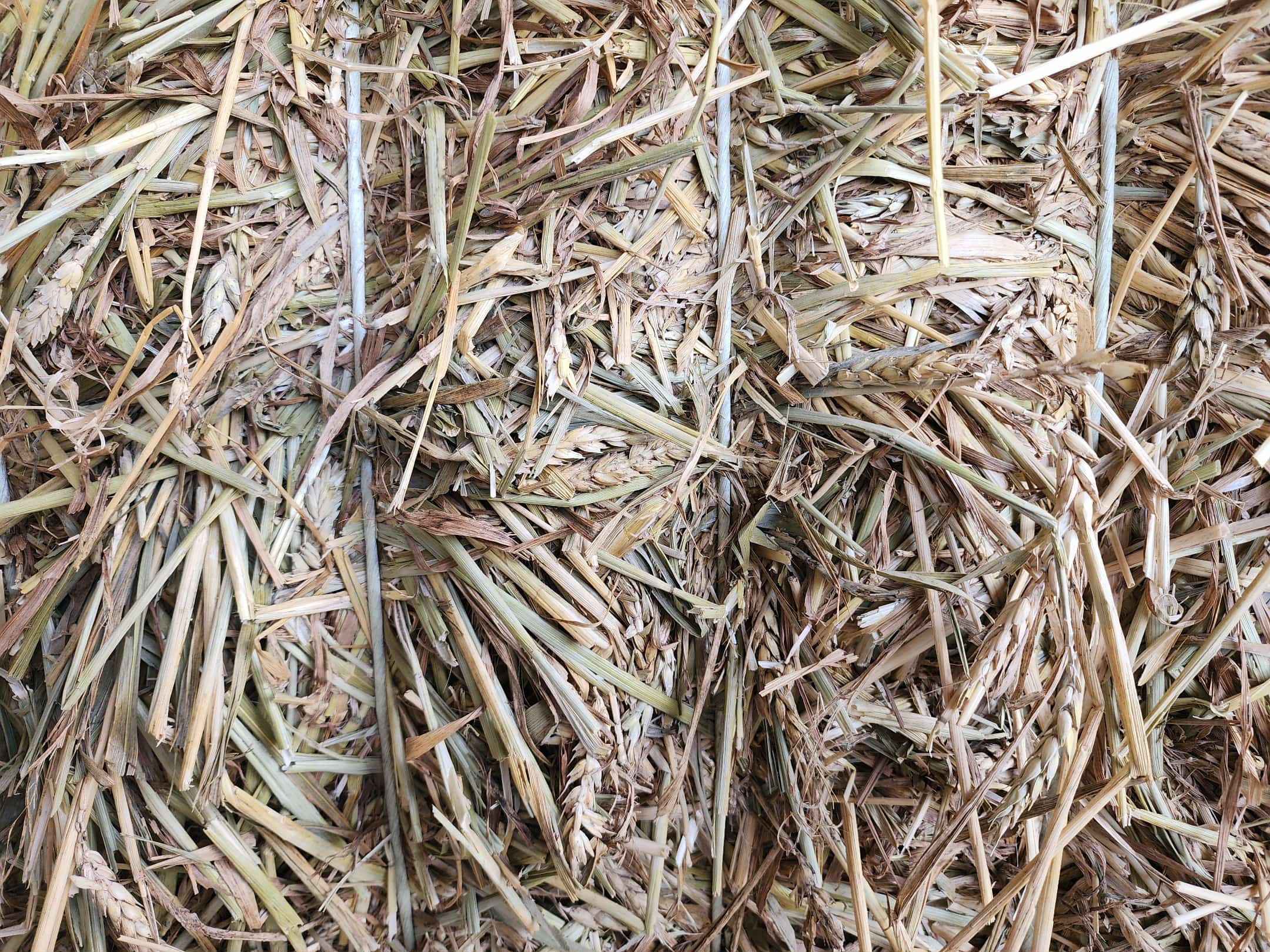 d1078806 132b 4fc1 a350 d6fda9916529