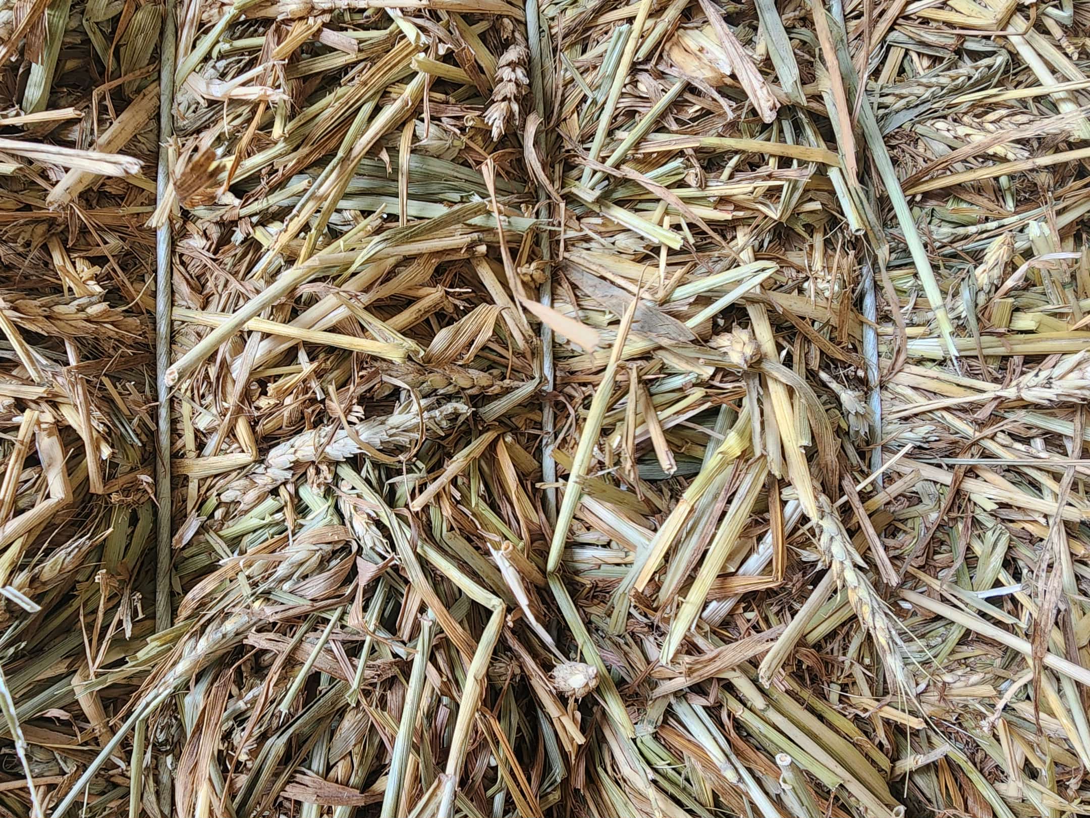 d958a24a 4541 4ca4 86db b4272f0b3332