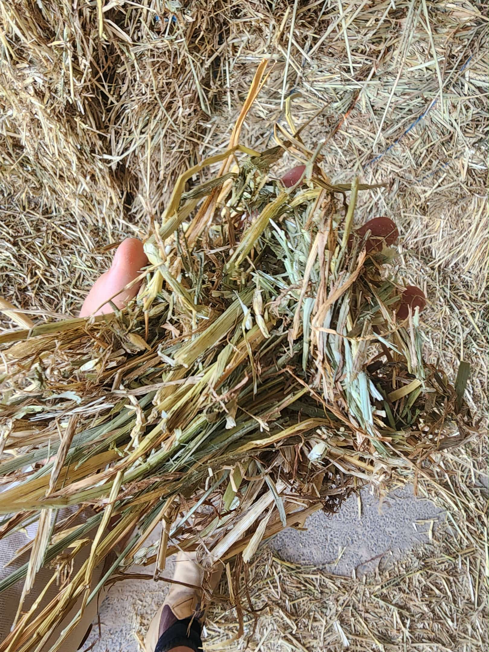 e1ec6cd7 6a4a 4415 a94d 8719c5d6a867