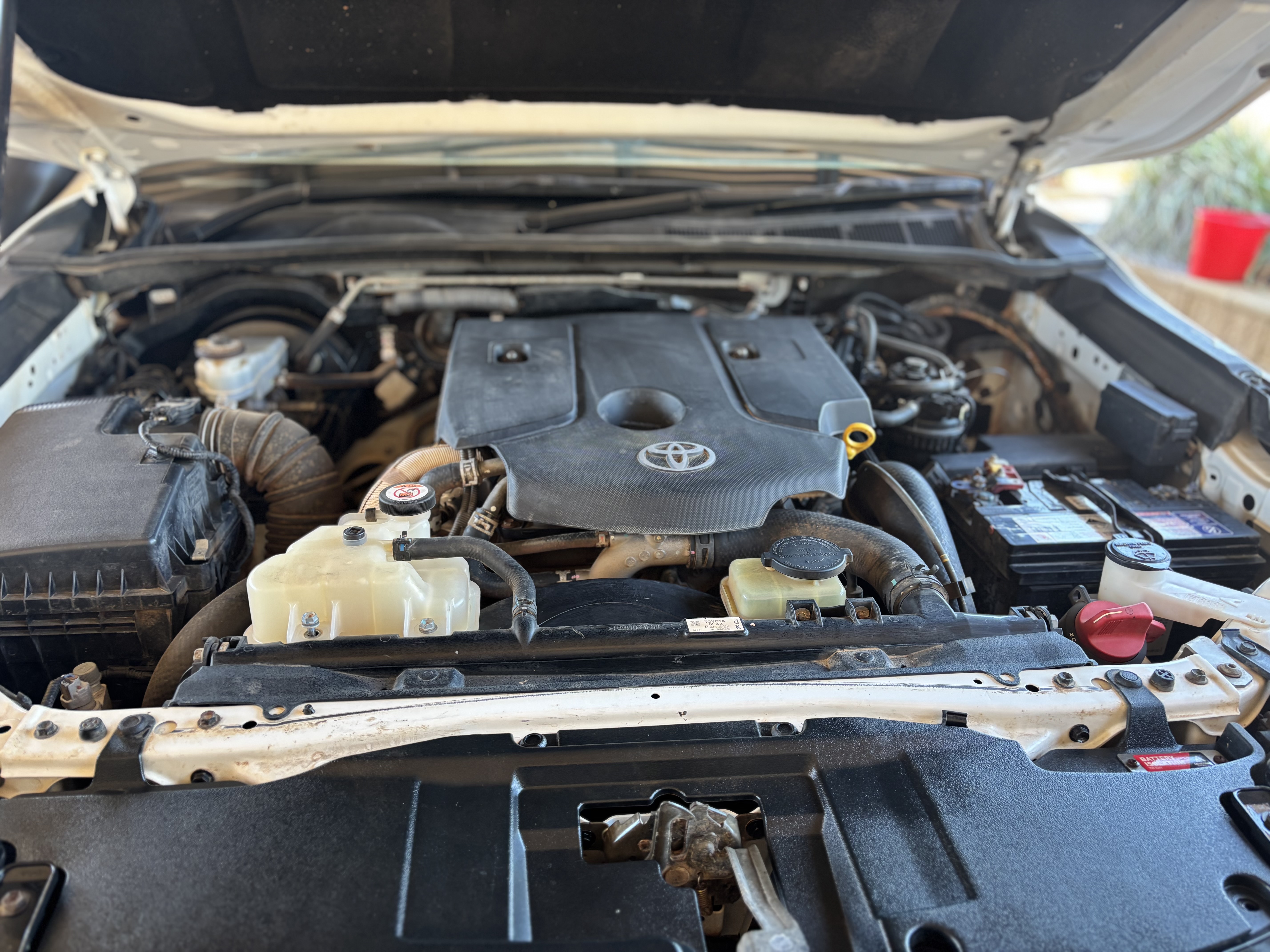 Upload from mobile 1763773625IMG 0936