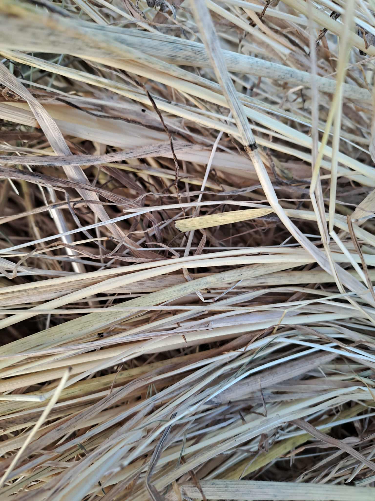 08ebb1ac 8819 448d 8029 ccd89acba2c7