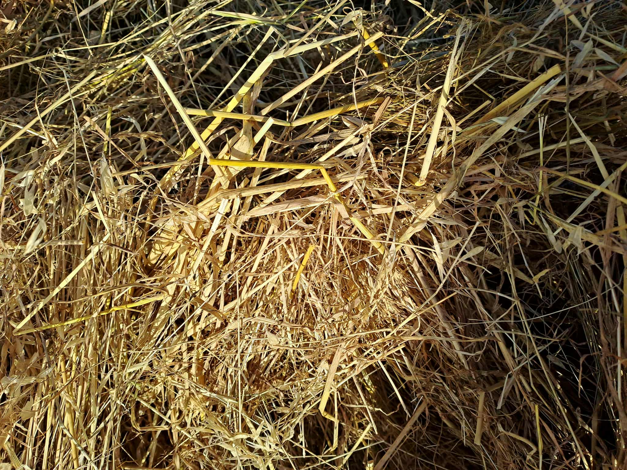 aeb7d345 7afe 4f4c 9429 797732358d7c