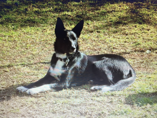 92ACB73C 8F69 4B04 B2FD 84AED2CFBCC7