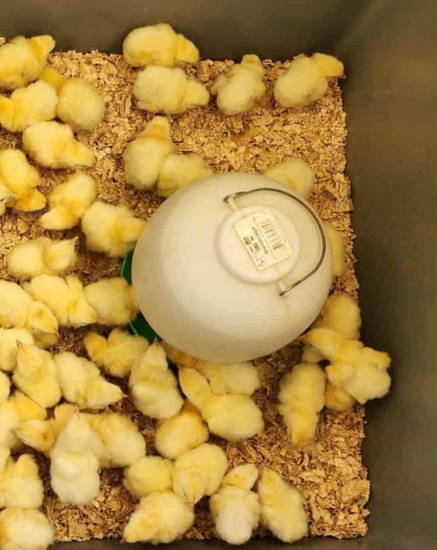 Messenger creation 9C3BD853 6F8E 4559 B4D5 B72E114A4857